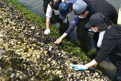 0618_BI野外実習 (2)