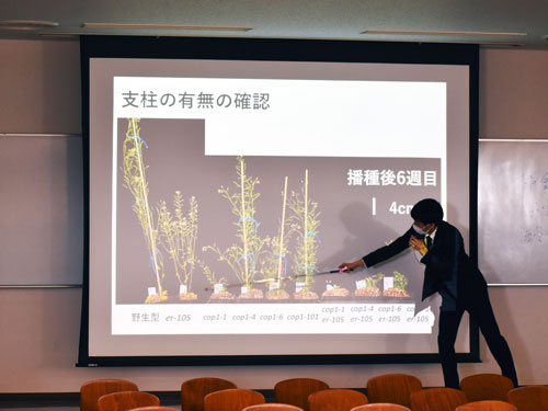 植物3