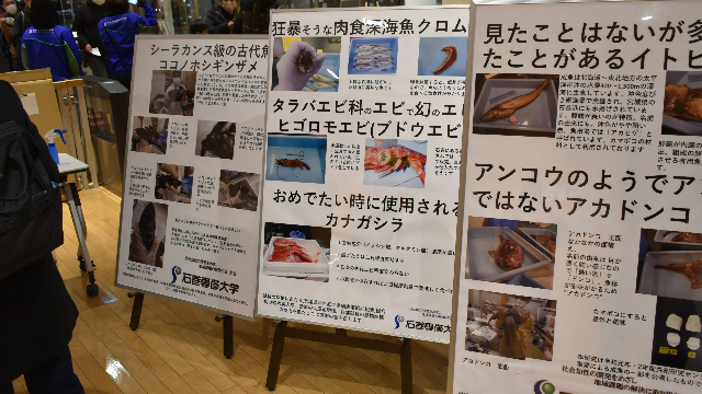 深海ナイト⑤