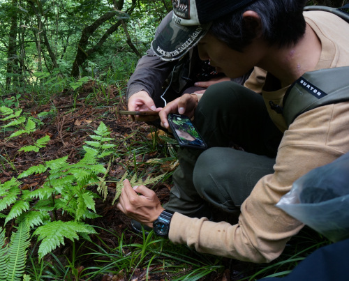 05_植物学実習
