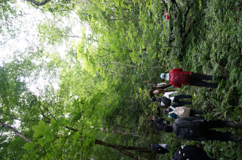 04_植物学実習