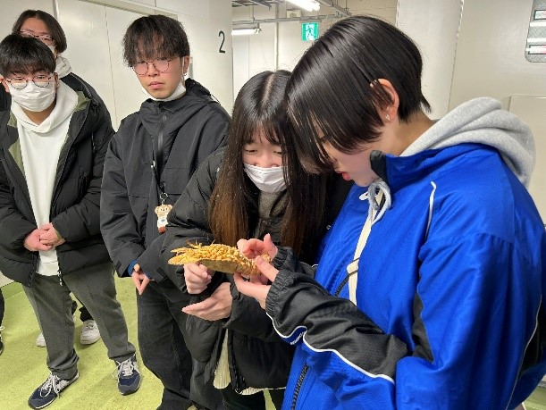 水族館3