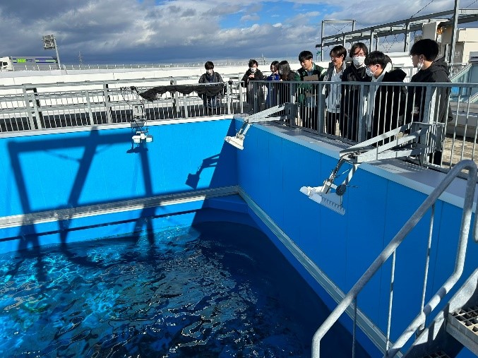 水族館4
