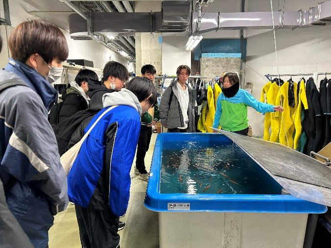 水族館1