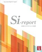Si-report-vol10