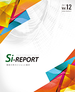 Si-report-vol.12