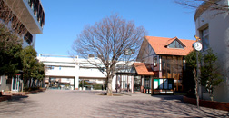 Senshu University Matsudo Junior and Senior High School