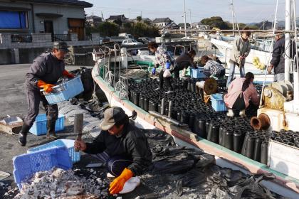 【SDGs】H 大矢根先生提供PHOTO【東日本大震災で被災した小漁港における漁再開初日の風景：餌詰めは全て手動・家族総出で】