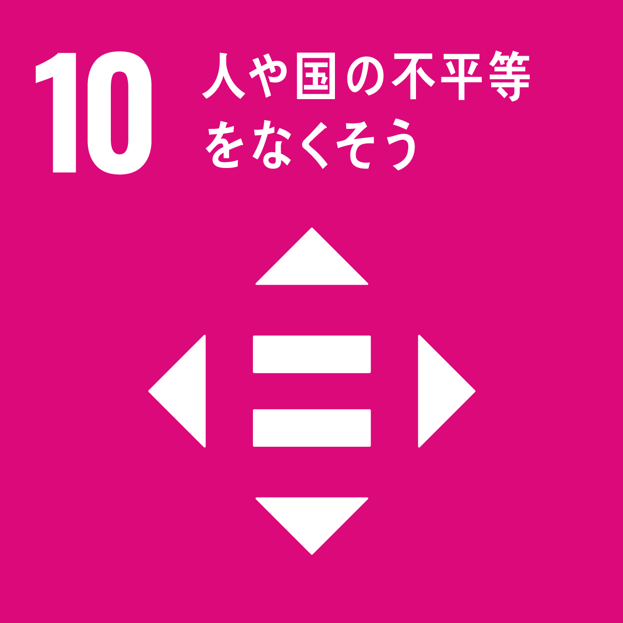 課題解決型インターンシップ　SDGｓ10