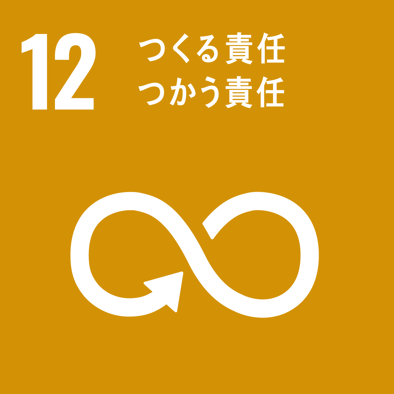 課題解決型インターンシップ　SDGｓ12