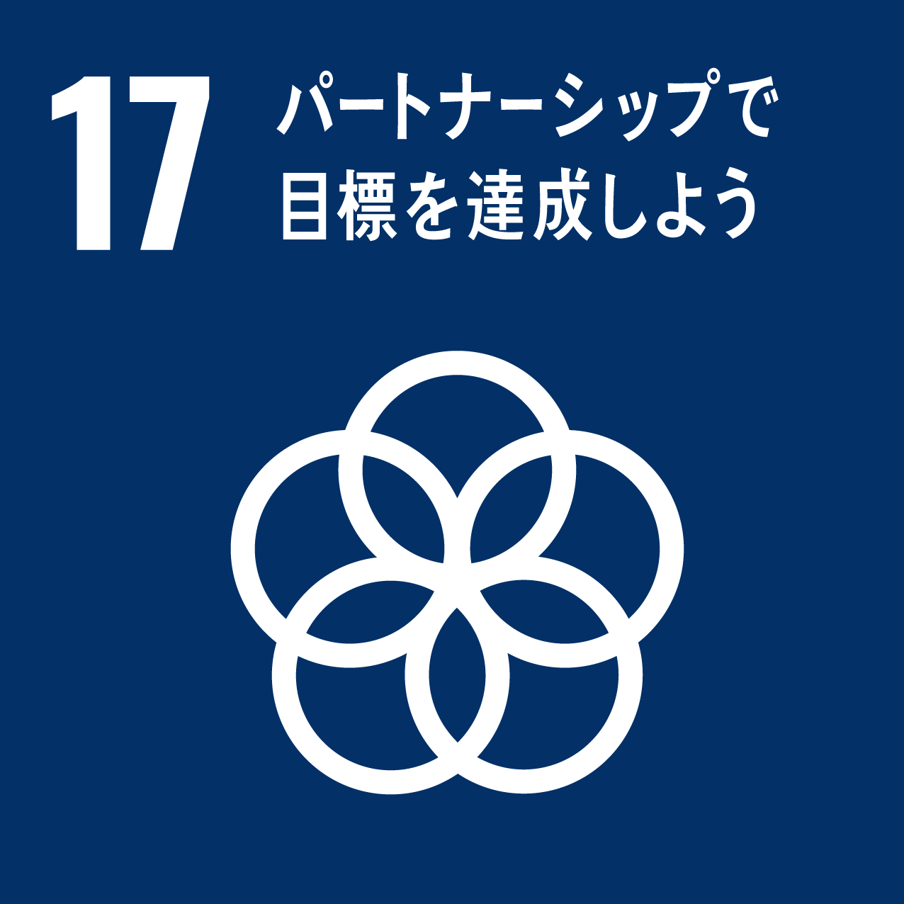 課題解決型インターンシップ　SDGｓ17