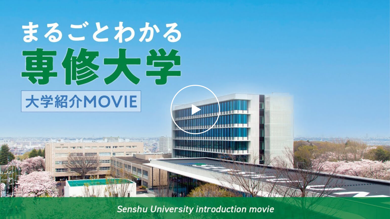 まるごとわかる専修大学