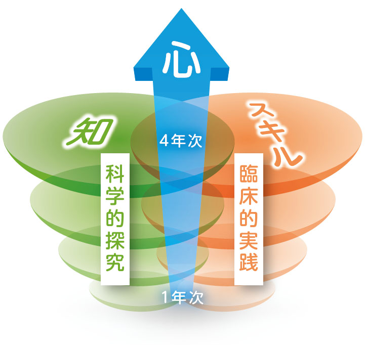 心理学科学びの特徴