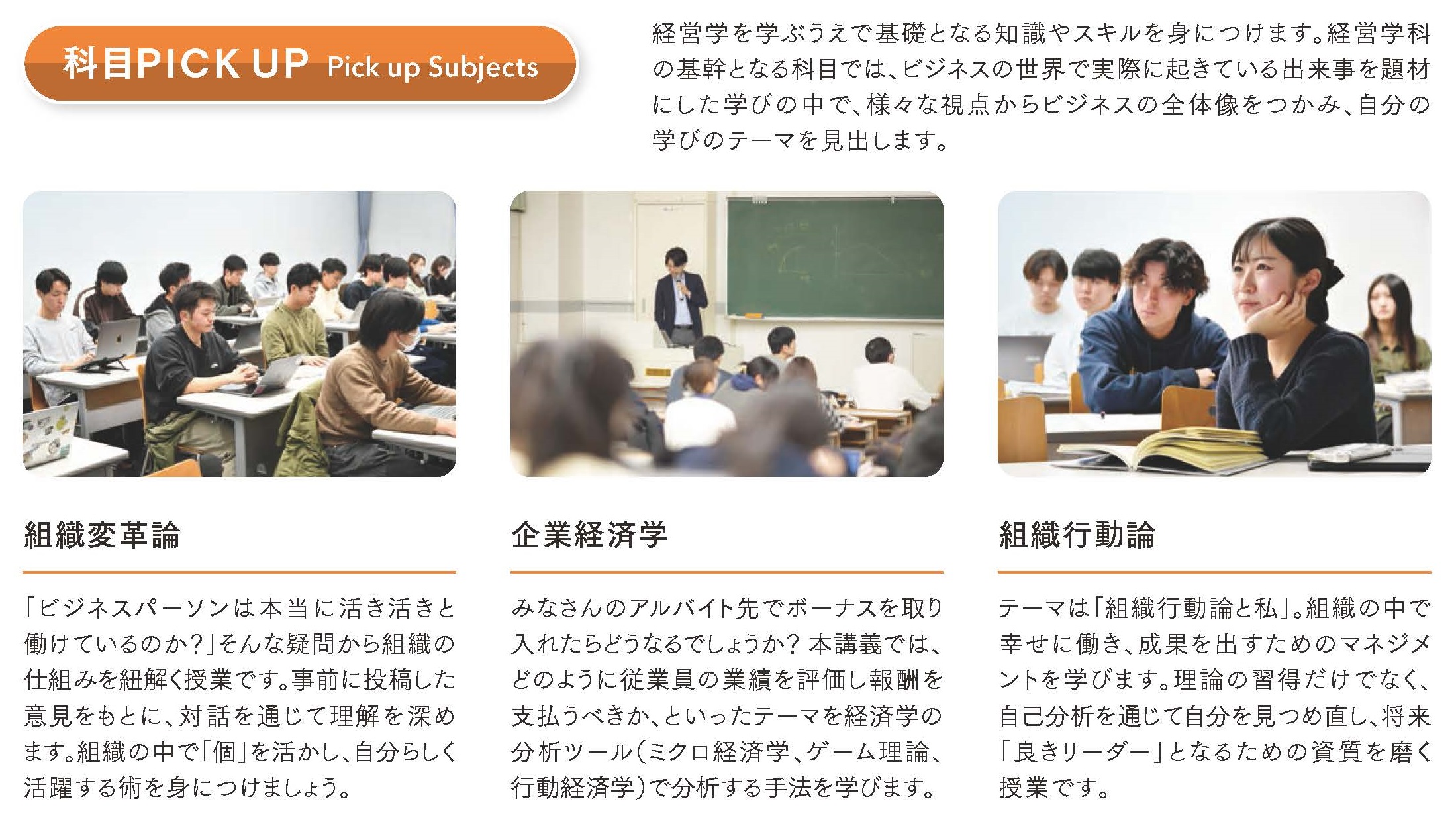 MA学科　科目PICK UP
