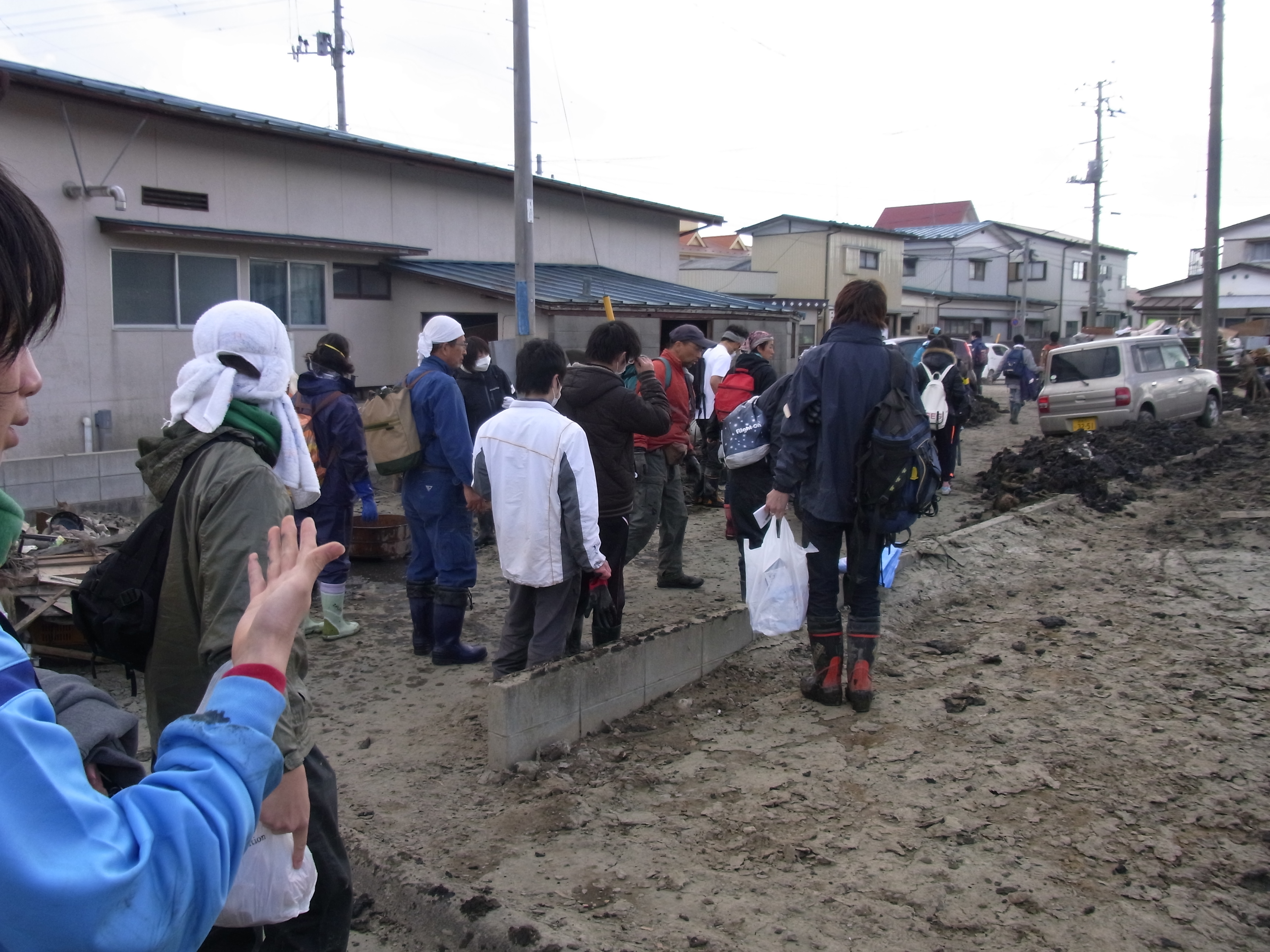 一緒に活動したボランティア