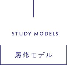 STUDY MODEL 履修モデル