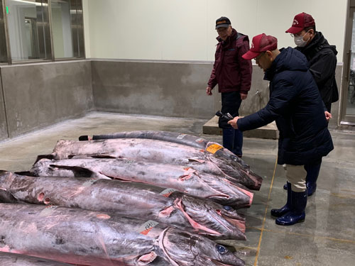 P33_生物科学科-(1)