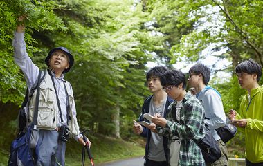 大学の裏にある「演習林」で植物の採取