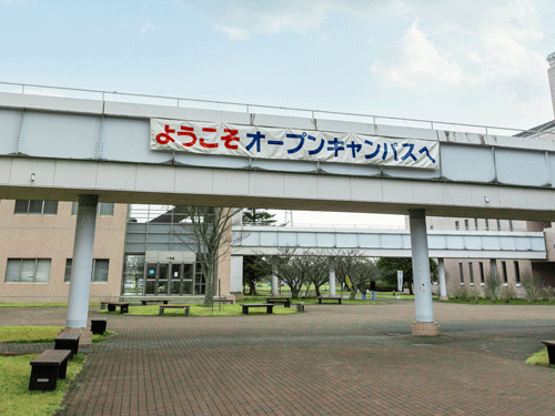YKR_8455