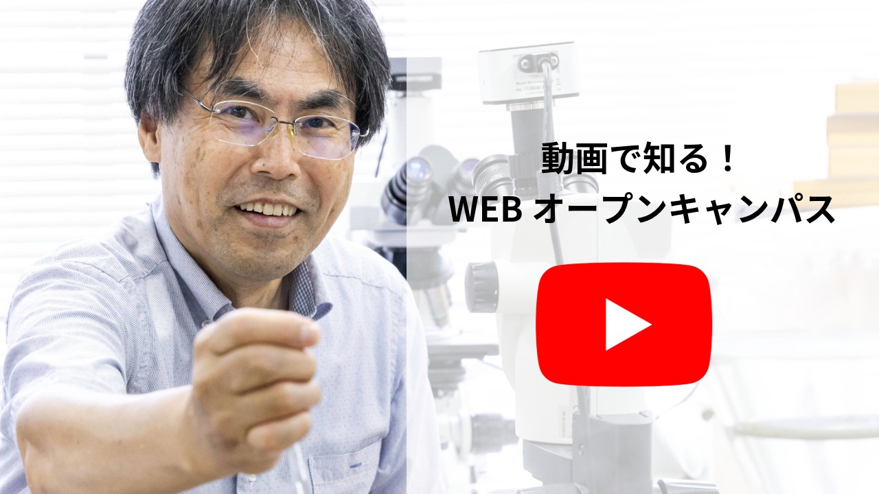 名称_未_設定-2 (2)