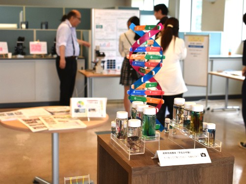 ★学生が作った透明骨格標本