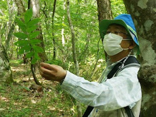 根本先生
