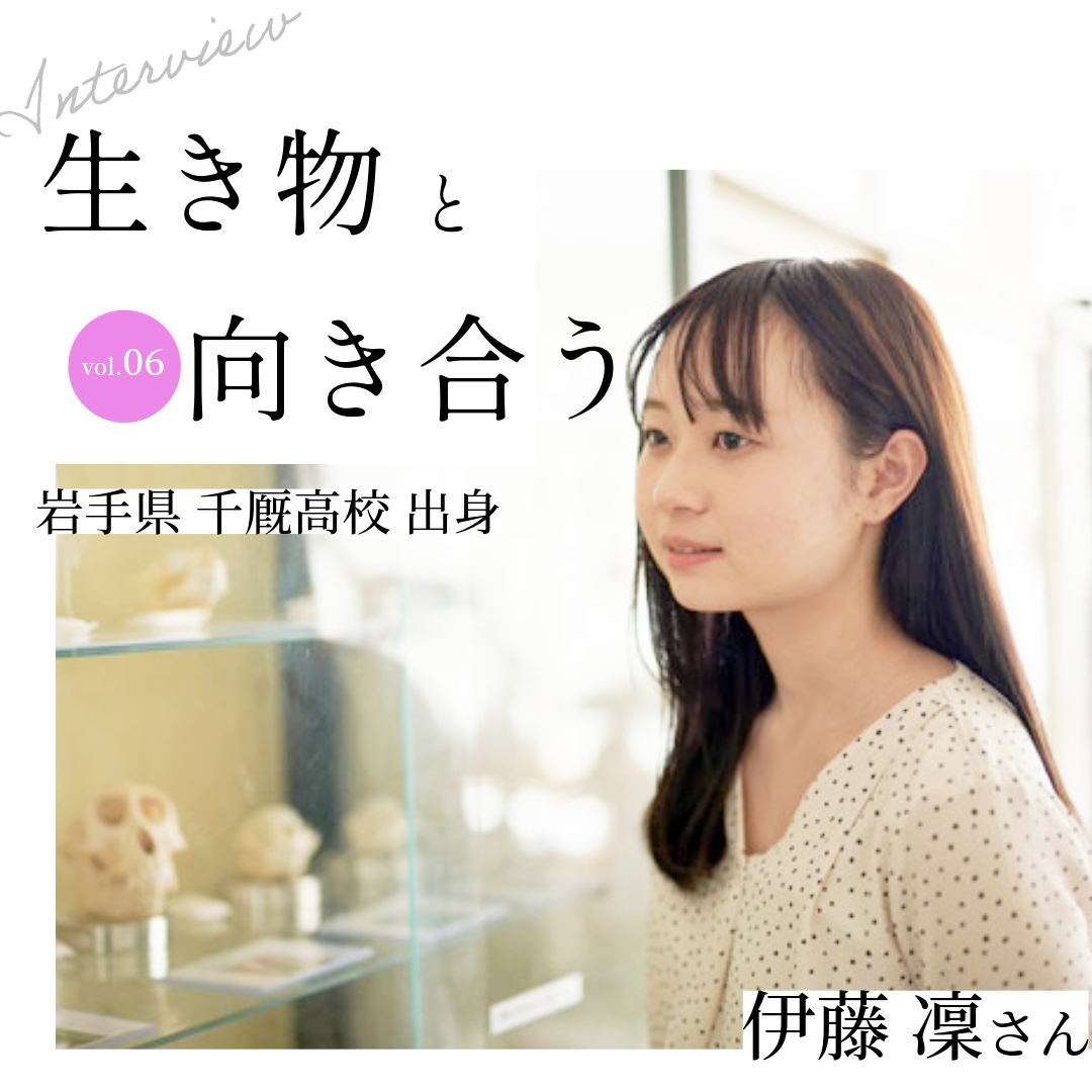 無題-6