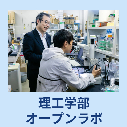 open lab2