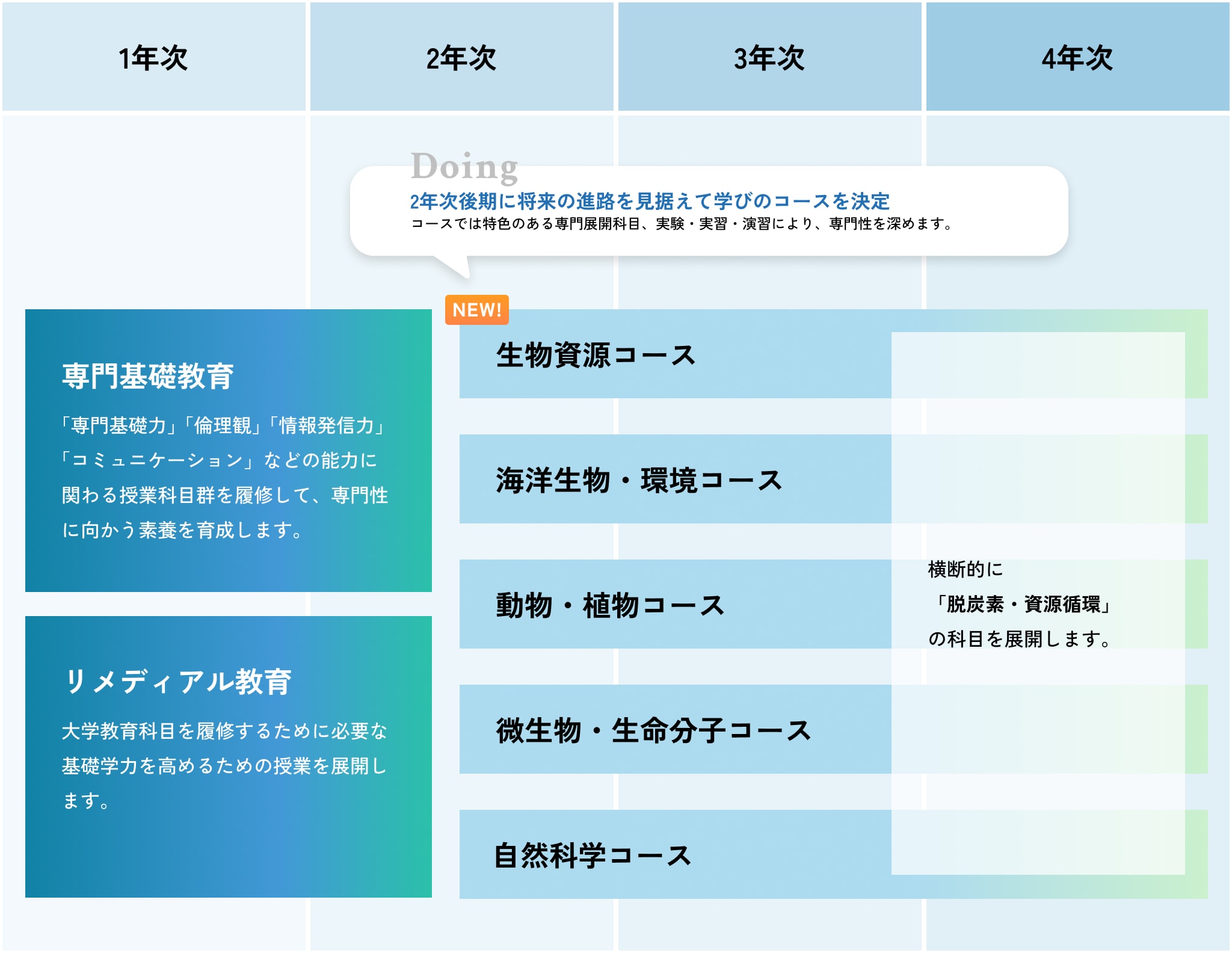図解：1年次〜2年次前期　専門基礎教育　「専門基礎力」「倫理観」「情報発信力」「コミュニケーション」などの能力に関わる授業科目群を履修して、専門性に向かう素養を育成します。1年次〜2年次前期　リメディアル教育　大学教育科目を履修するために必要な基礎学力を高めるための授業を展開します。Doing　2年次後期に将来の進路を見据えて学びのコースを決定　コースでは特色のある専門展開科目、実験・実習・演習により、専門性を深めます。2年次後期〜4年次　NEW!生物資源コース、海洋生物・環境コース、動物・植物コース、微生物・生命分子コース、自然科学コース　横断的に「脱炭素・資源循環」の科目を展開します。