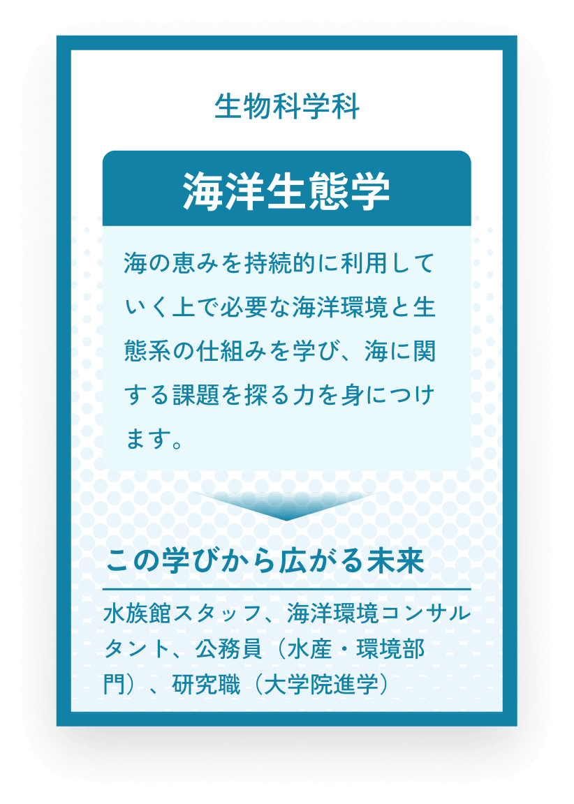 生物科学科 海洋生態学 海の恵みを持続的に利用していく上で必要な海洋環境と生態系の仕組みを学び、海に関する課題を探る力を身につけます。この学びから広がる未来 水族館スタッフ、海洋環境コンサルタント、公務員(水産・環境部門)、研究職(大学院進学)