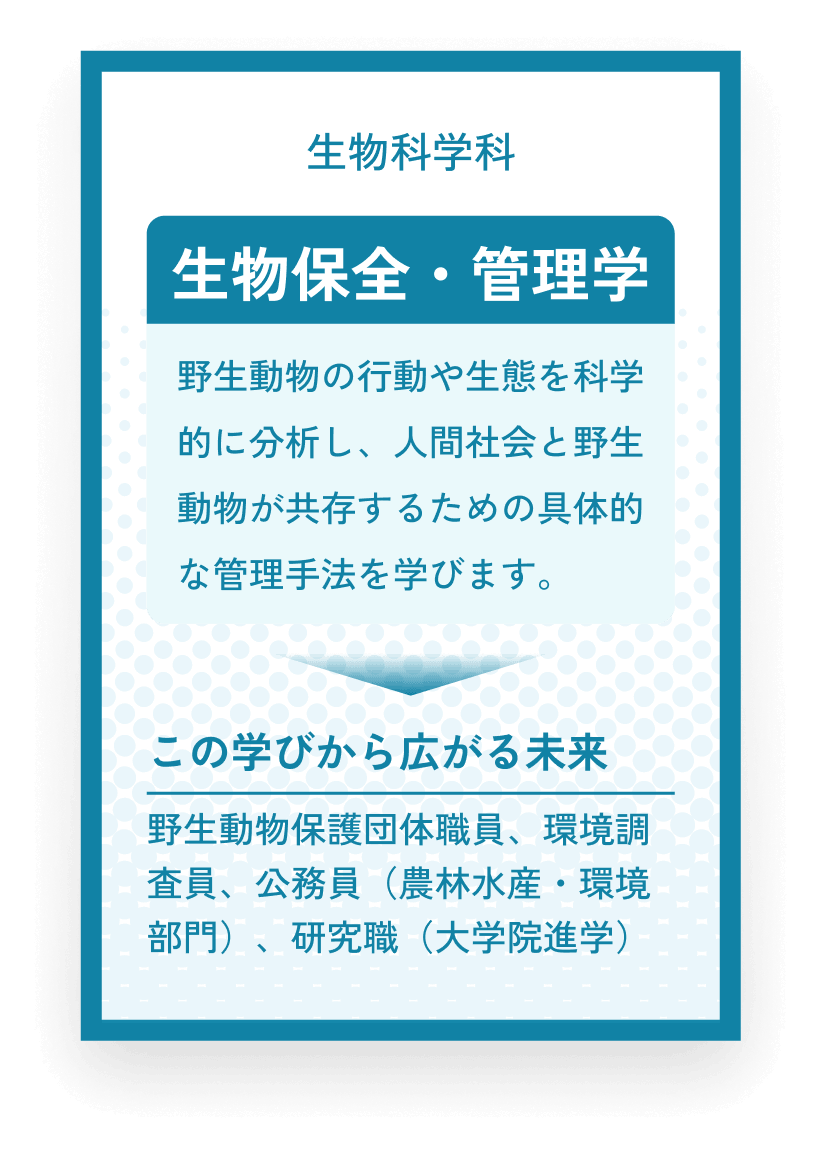 生物科学科 生物保全・管理学 野生動物の行動や生態を科学的に分析し、人間社会と野生動物が共存するための具体的な管理手法を学びます。この学びから広がる未来 野生動物保護団体職員、環境調査員、公務員(農林水産・環境部門)、研究職(大学院進学)
