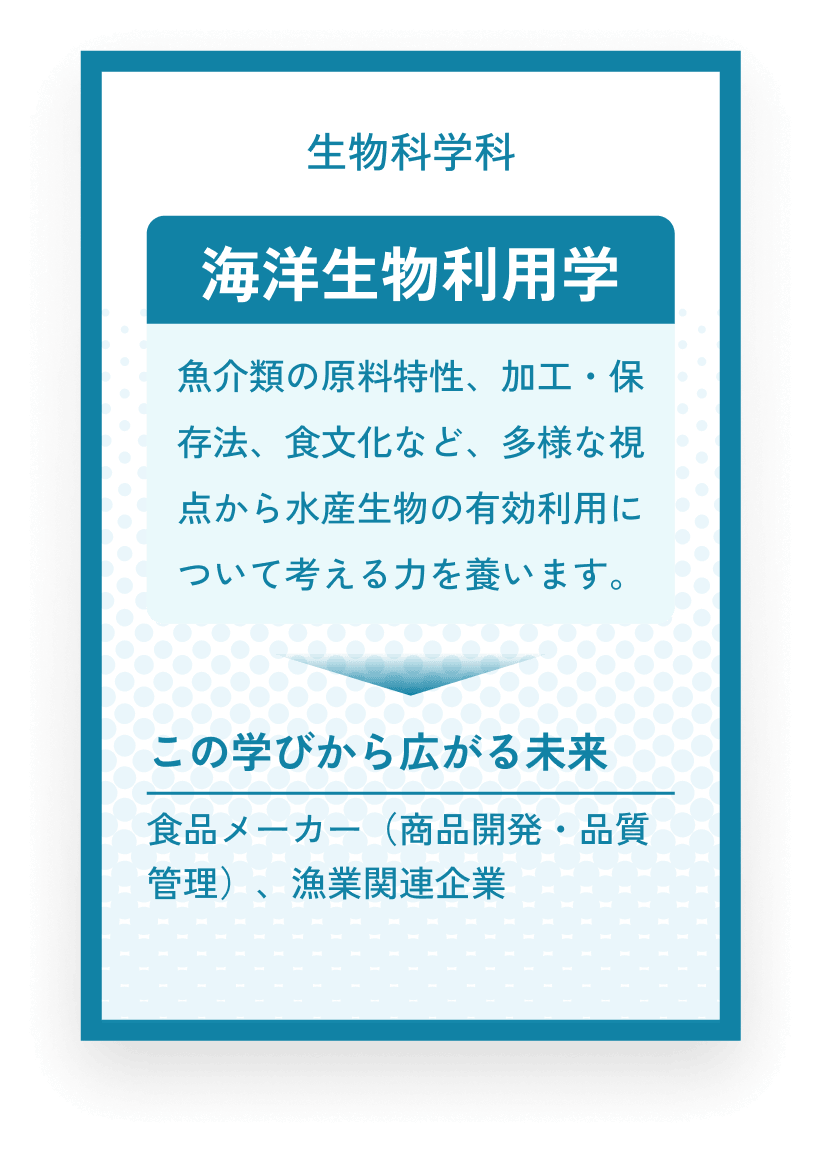 生物科学科 海洋生物利用学 魚介類の原料特性、加工・保存法、食文化など、多様な視点から水産生物の有効利用について考える力を養います。この学びから広がる未来 食品メーカー(商品開発・品質管理)、漁業関連企業