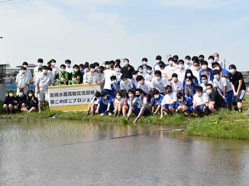 集合