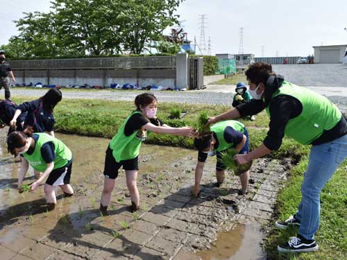 田植え①
