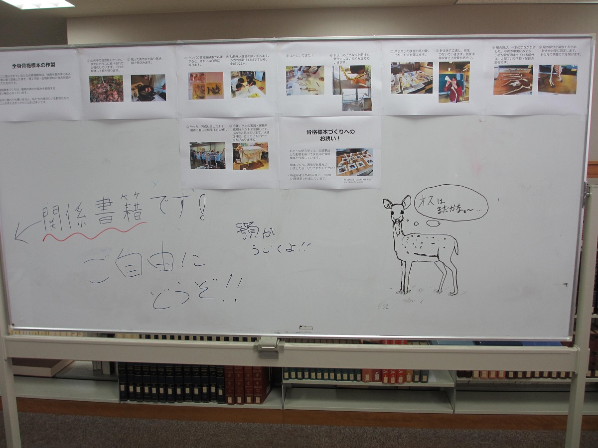 ほわいとぼーず