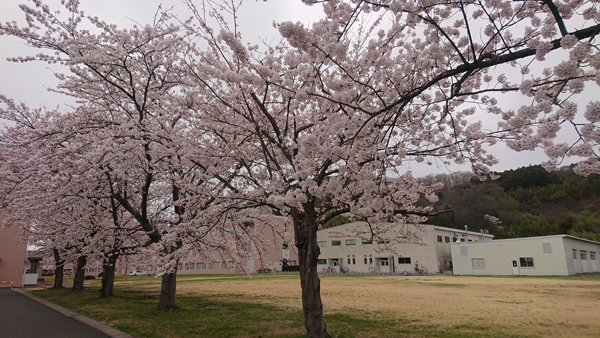 4月14撮影１