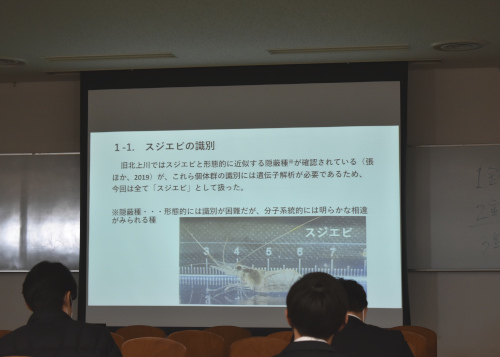 BI古畑さん➁
