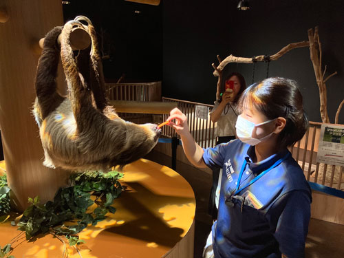 ナマケモノへ給餌1