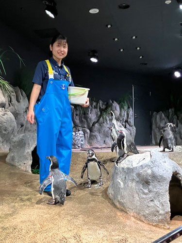 ペンギンへ給餌2