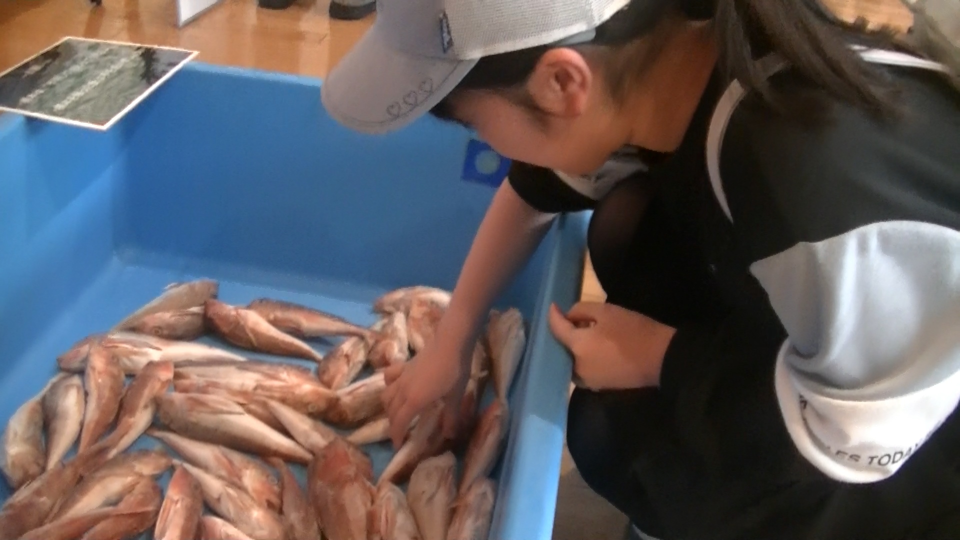 鈴木×水野×水族館01 (4)