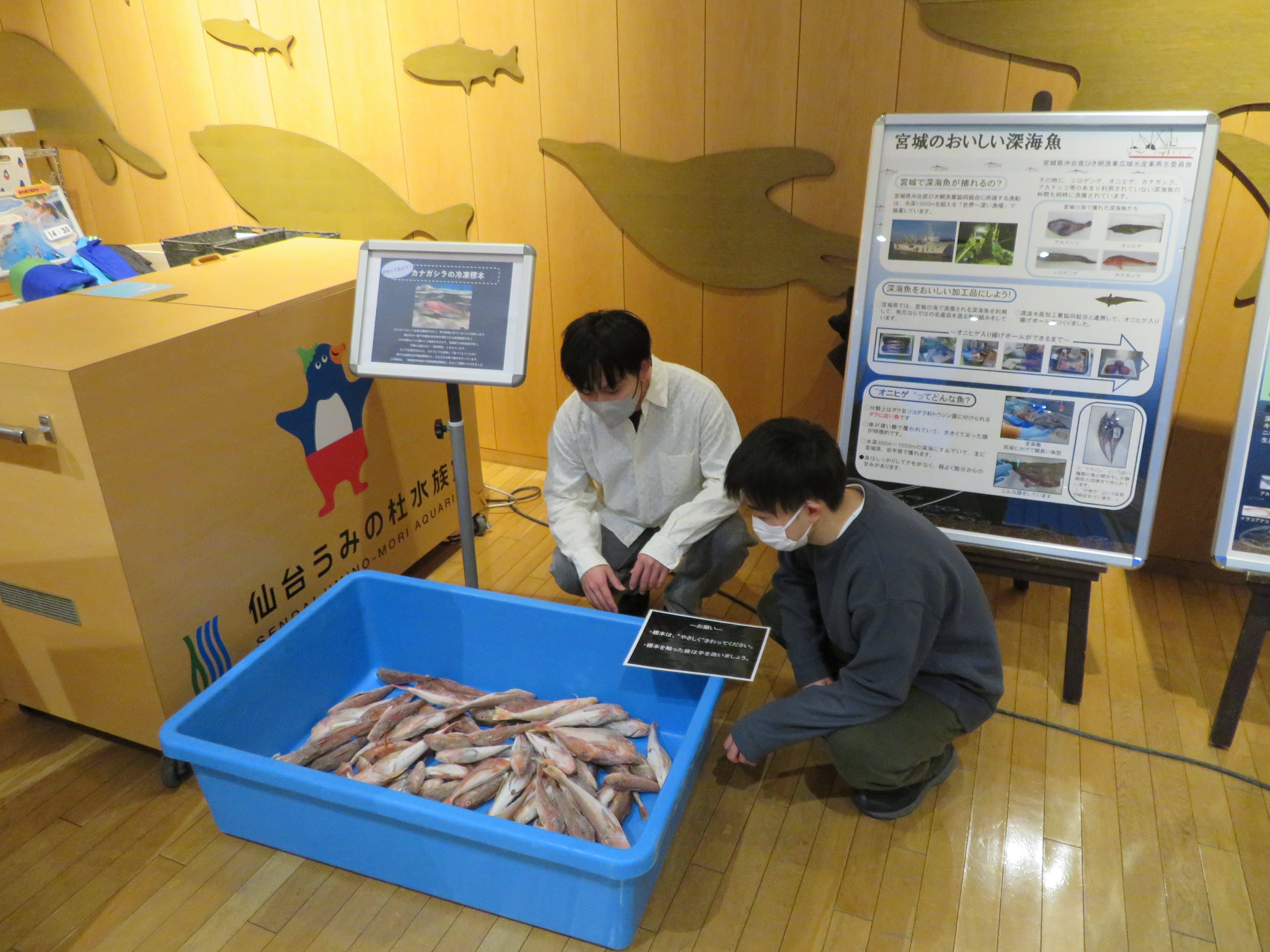 鈴木×水野×水族館01 (2)
