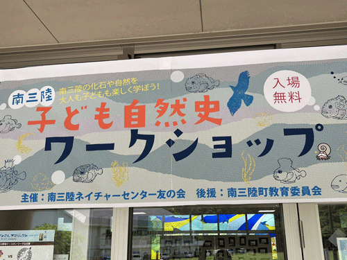 干潟調査3済