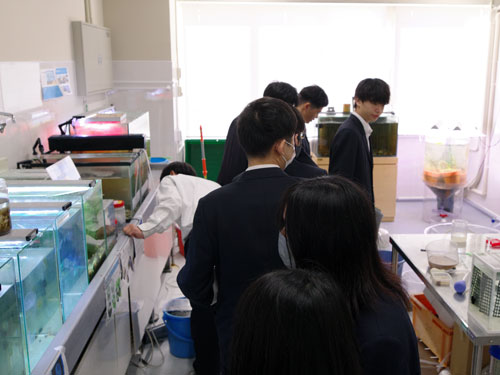 石巻北飯野川4