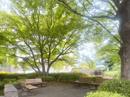 R7国内留学③