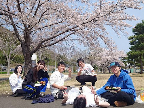 学内で友人と花見