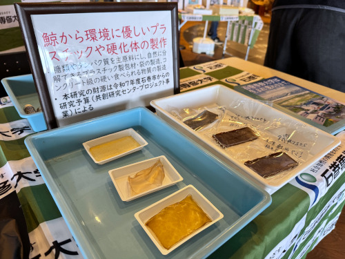 鯨フォーラム③