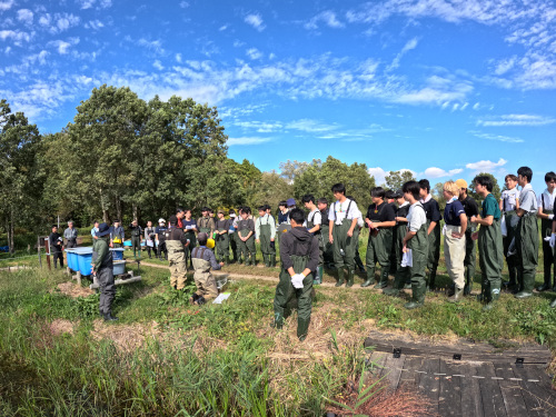 GOPR0078湿地の植生説明
