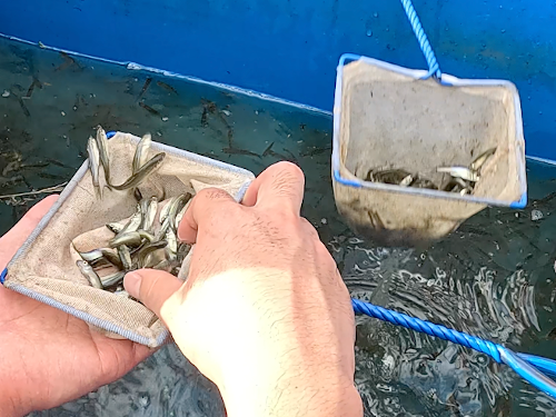 スクリーンショット 2025-10-06 9.47.20