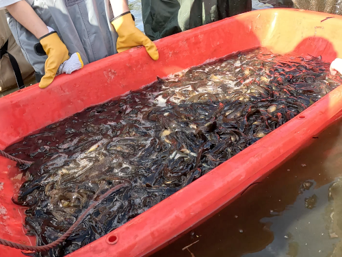 スクリーンショット 2025-10-06 9.50.08