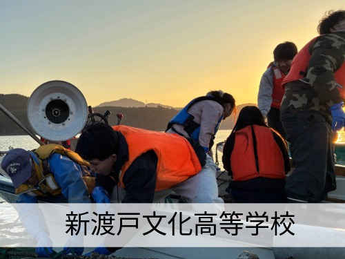 新渡戸文化高等学校